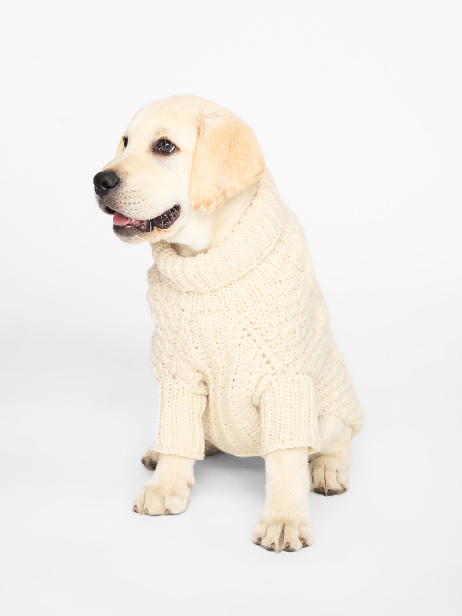 Classic Cable Knit Dog Sweater  Exclusively large dog sweaters