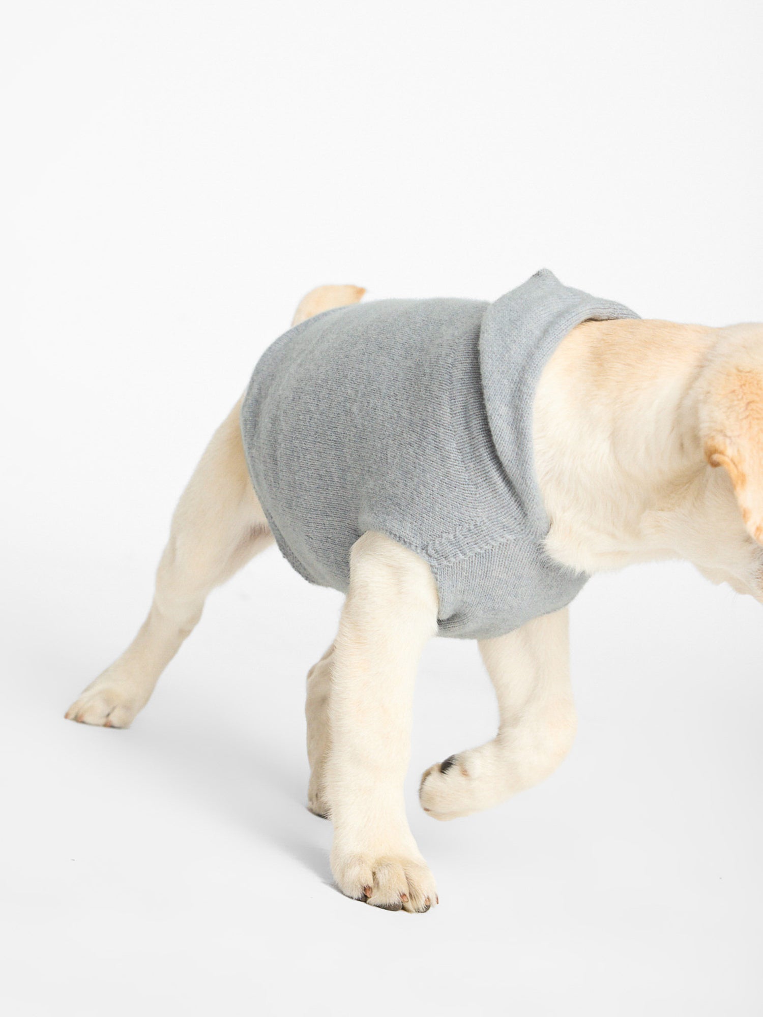 Grey dog hoodie best sale