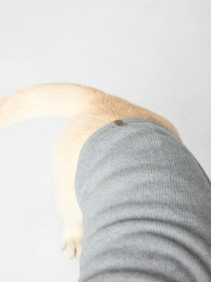 Cashmere grey dog hoodie close up