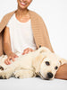 Cable knit neutral dog sweater front view 5