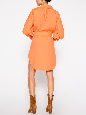 Kate belted button up mini dress orange back view